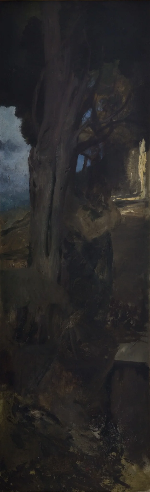 Study of a Tree from the Garden of Villa Aldobrandini in Frascati
