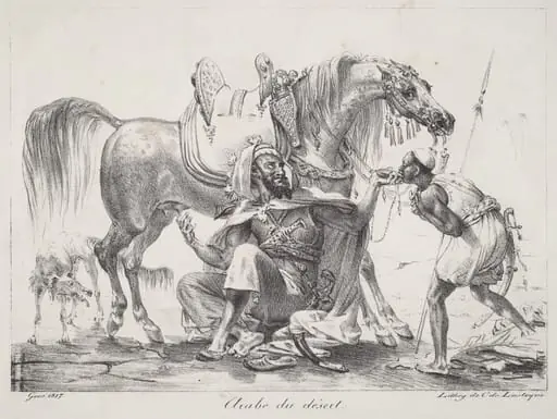 Arabe du désert (Desert Arab)