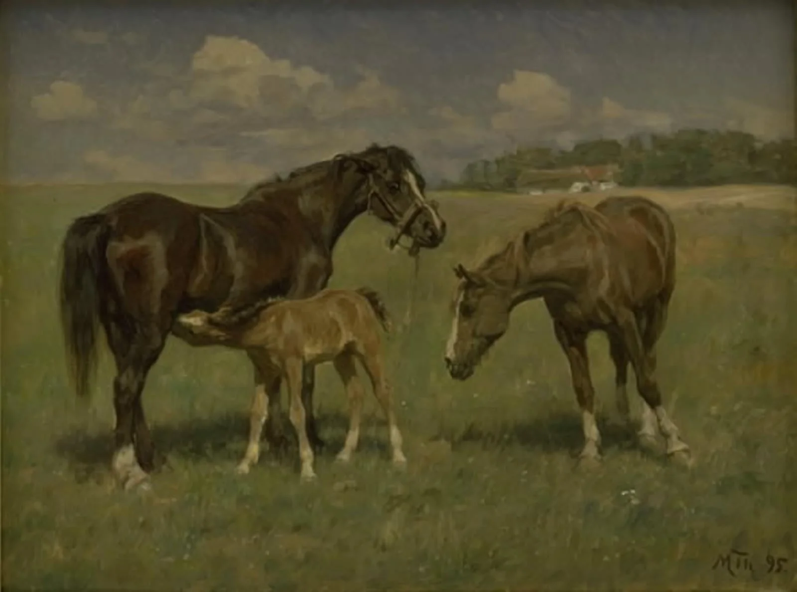 Tre heste på en mark, by Unknown, 1895