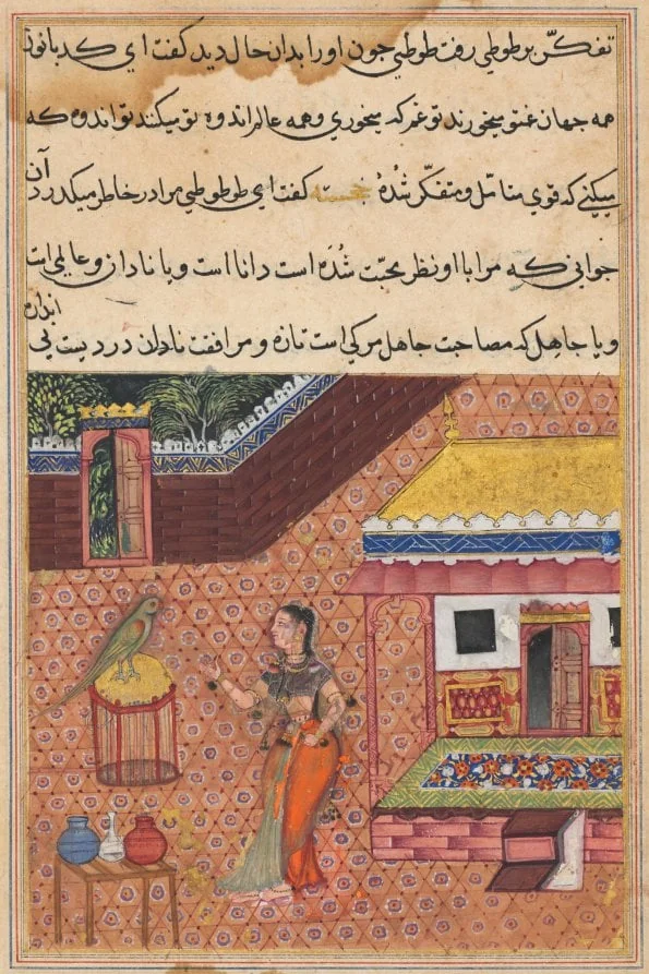 The parrot addresses Khujasta at the beginning of the thirty-fourth night, from a Tuti-nama (Tales of a Parrot)