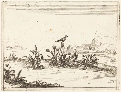 Bird Perched on a Thistle