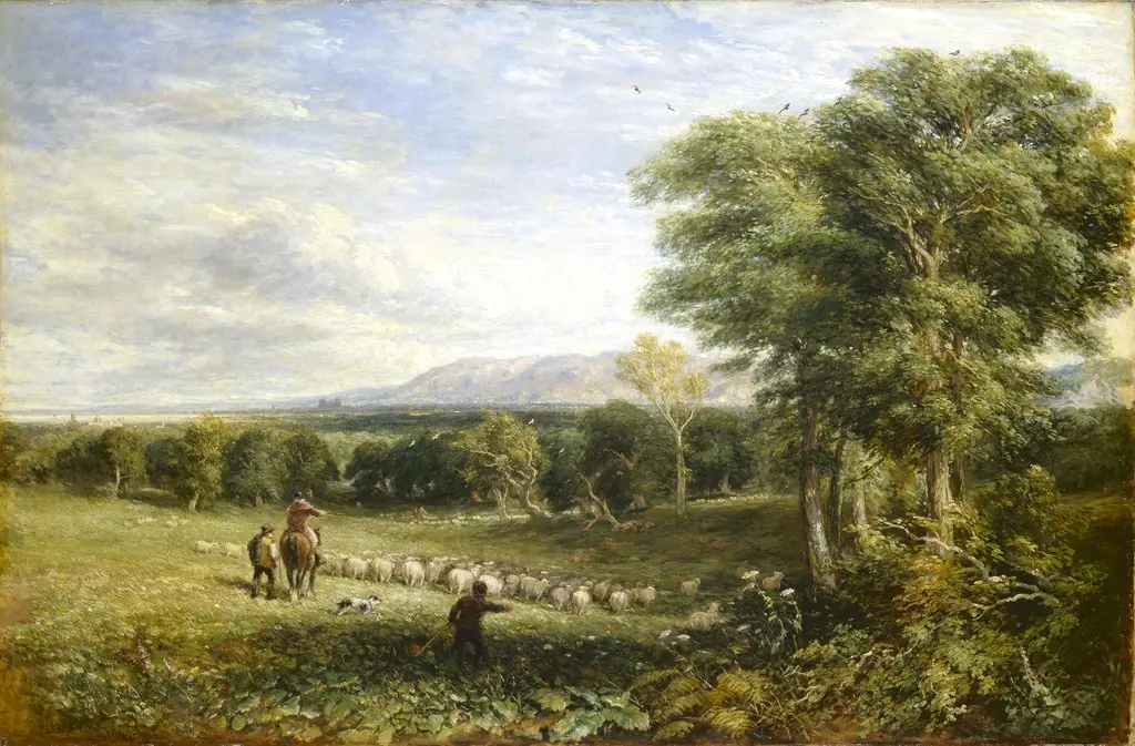 The Vale of Clwyd