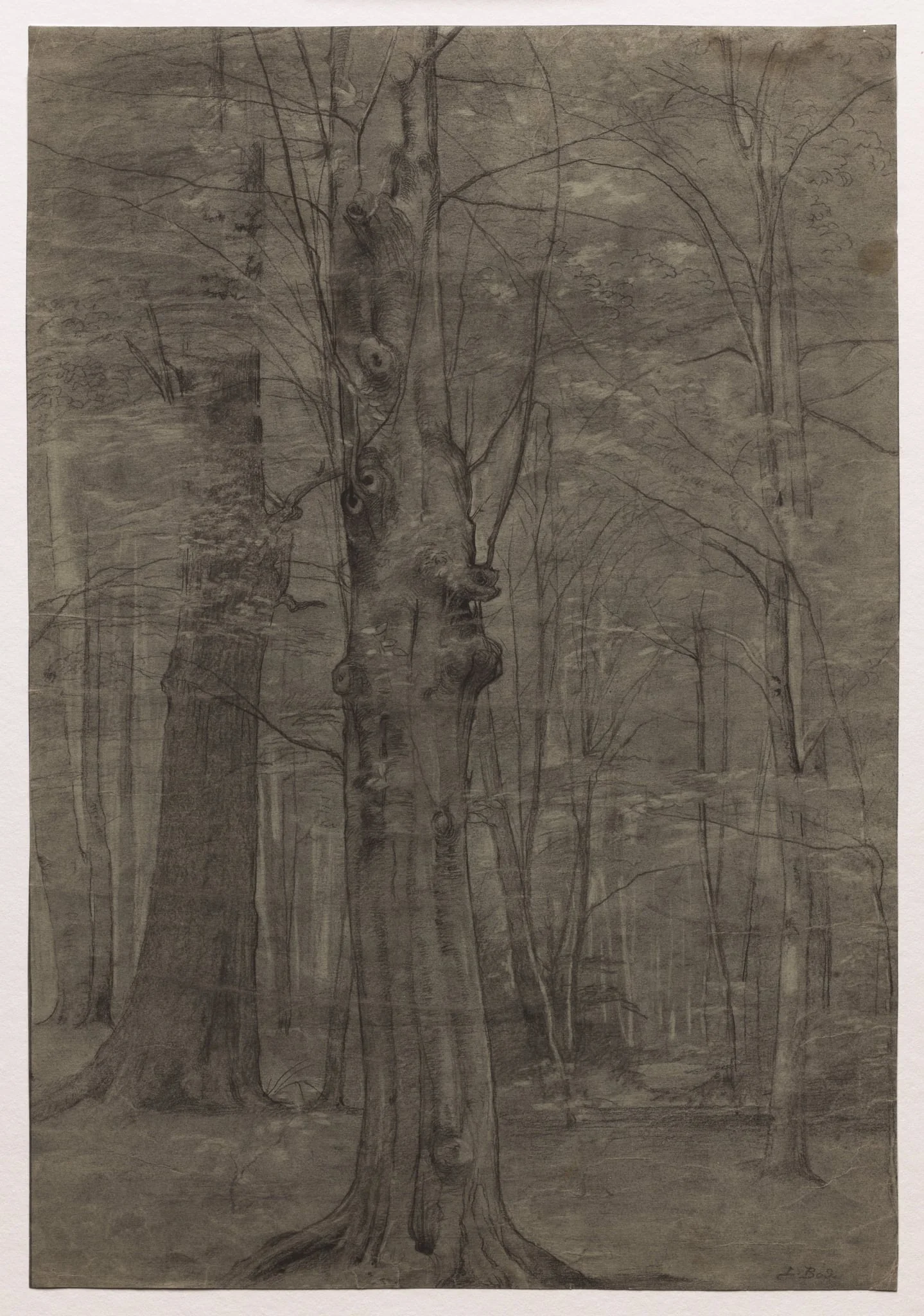 Trees, by Leopold Bode, 1878
