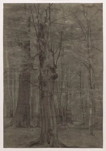 Trees