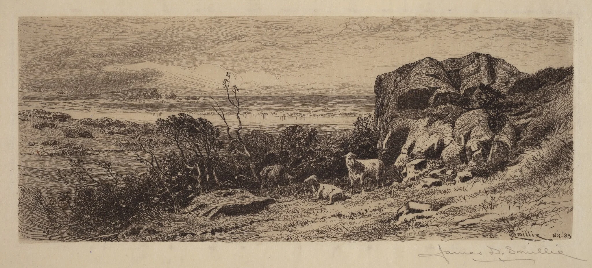 A Bit on Marblehead Neck, by James David Smillie, ink, 1883