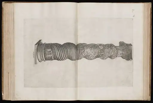 Solomonic Column from Saint Peter's Basilica