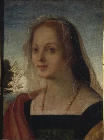 Portrait of a Young Woman