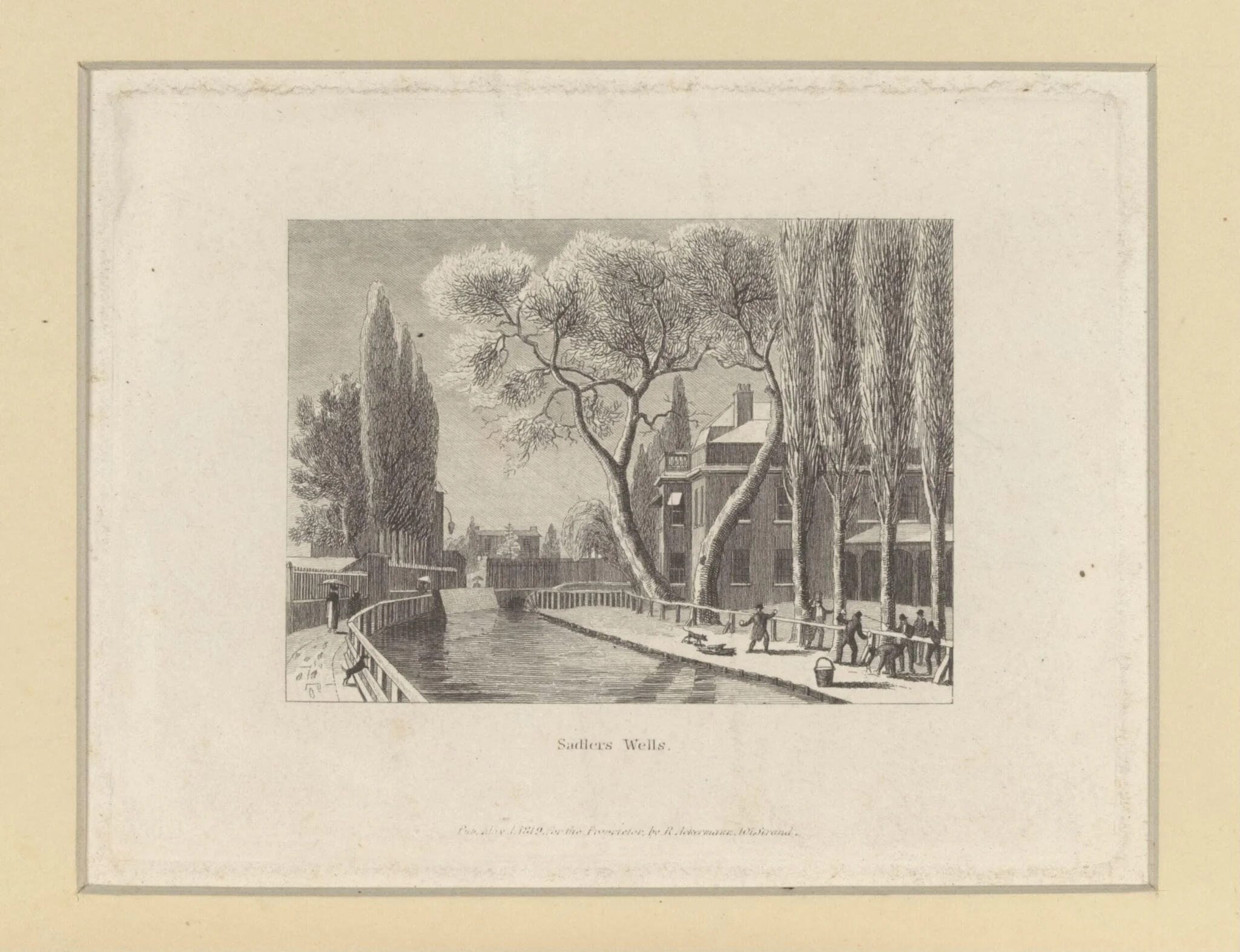 H Beard Print Collection