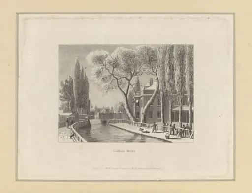 H Beard Print Collection