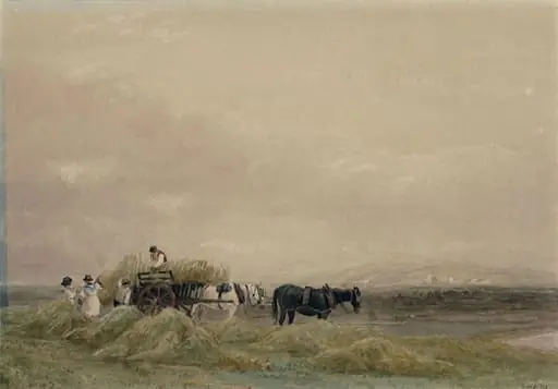 Hay Field