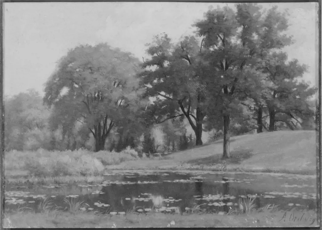 Landscape