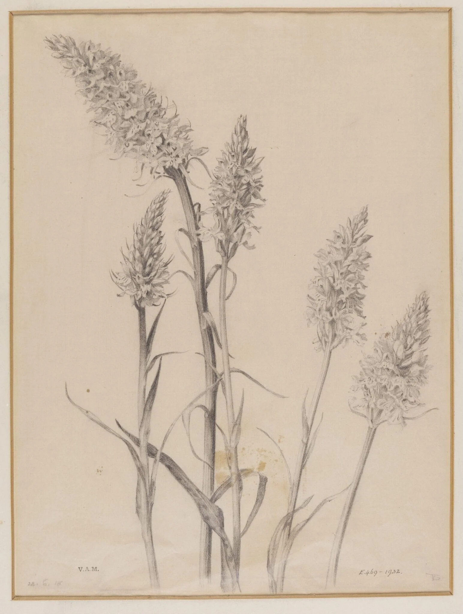 Untitled, by Edward Ingram Taylor, 24