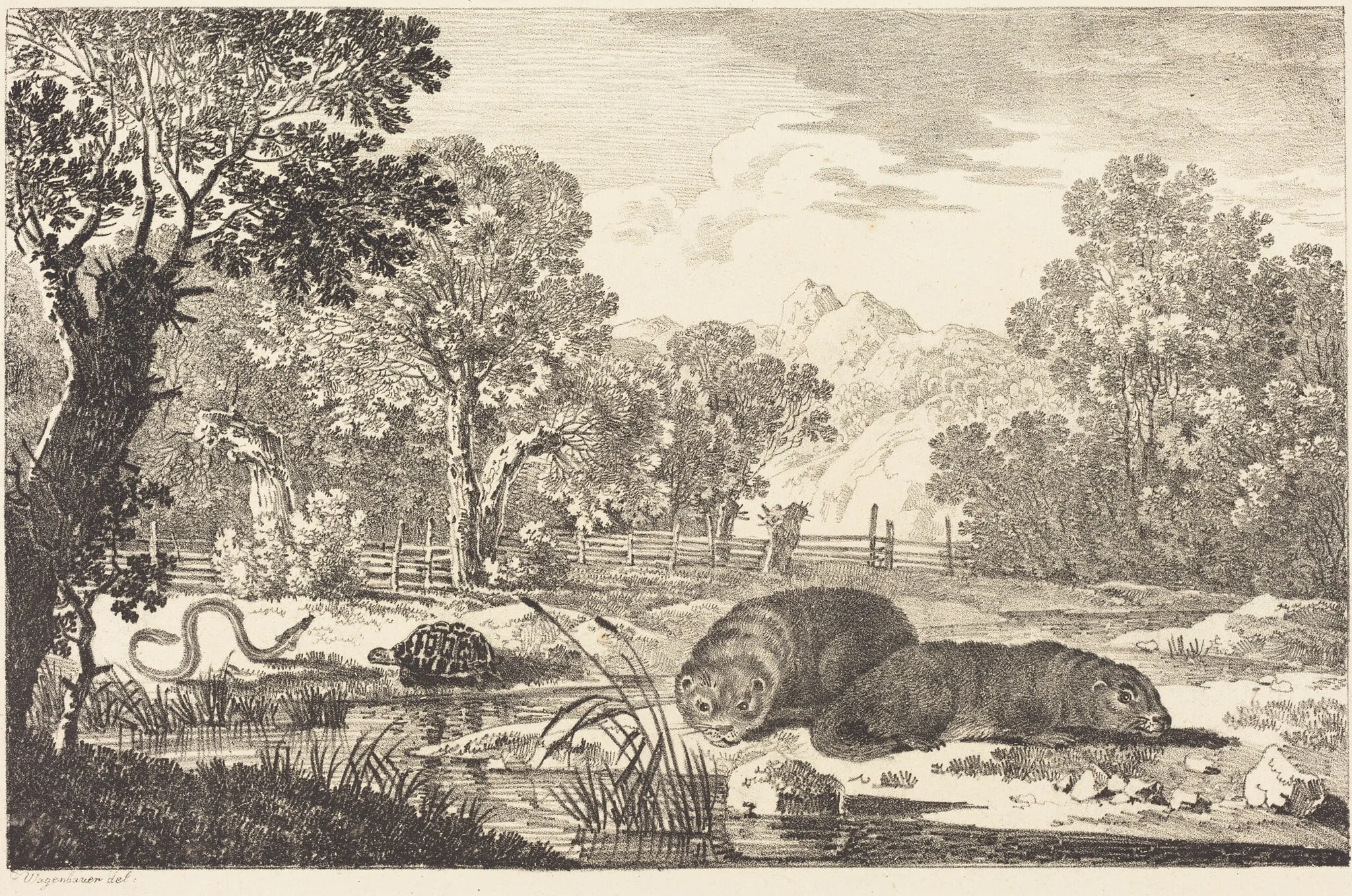 River Landscape with Two Beavers, by Max Joseph Wagenbauer, ink, 1807