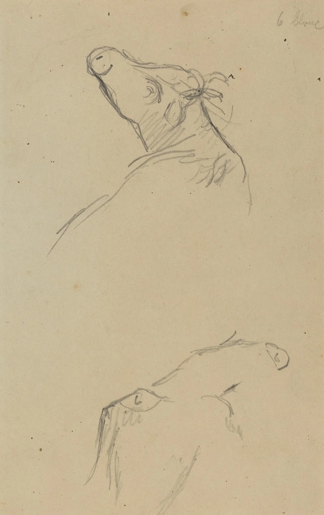 Two Cow's Heads [verso], by Paul Gauguin, graphite, 1886