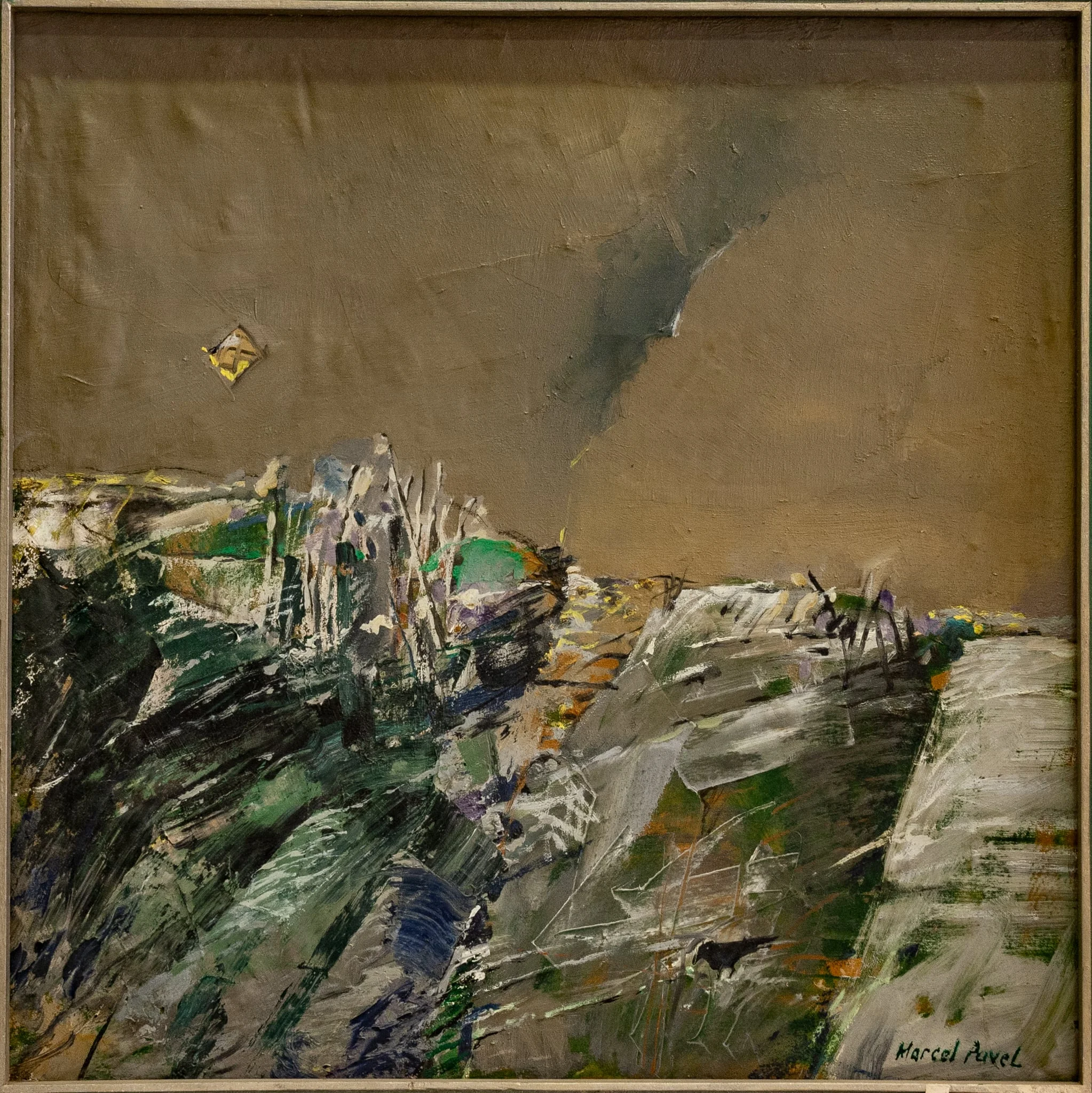 Iarna în deltă, by Marcel Pavel