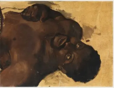 Study of a Dead Zulu