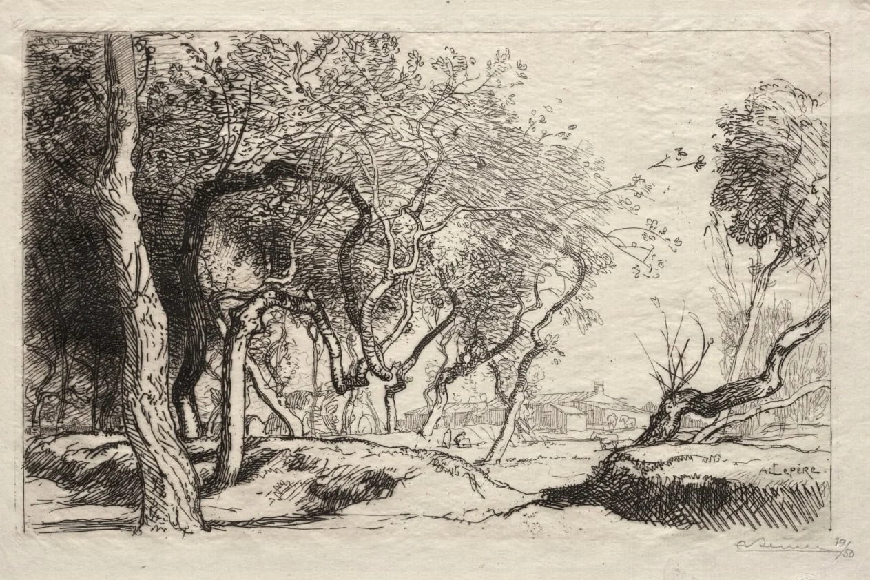 The Twisted Tree, by Auguste Lepère, 1915