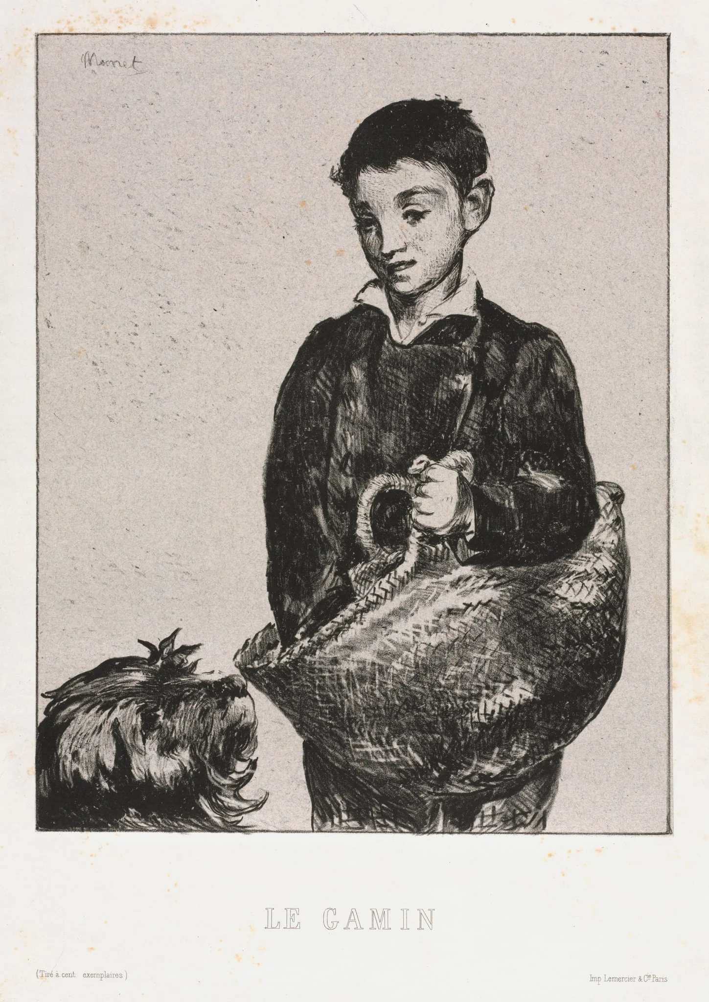 The Urchin