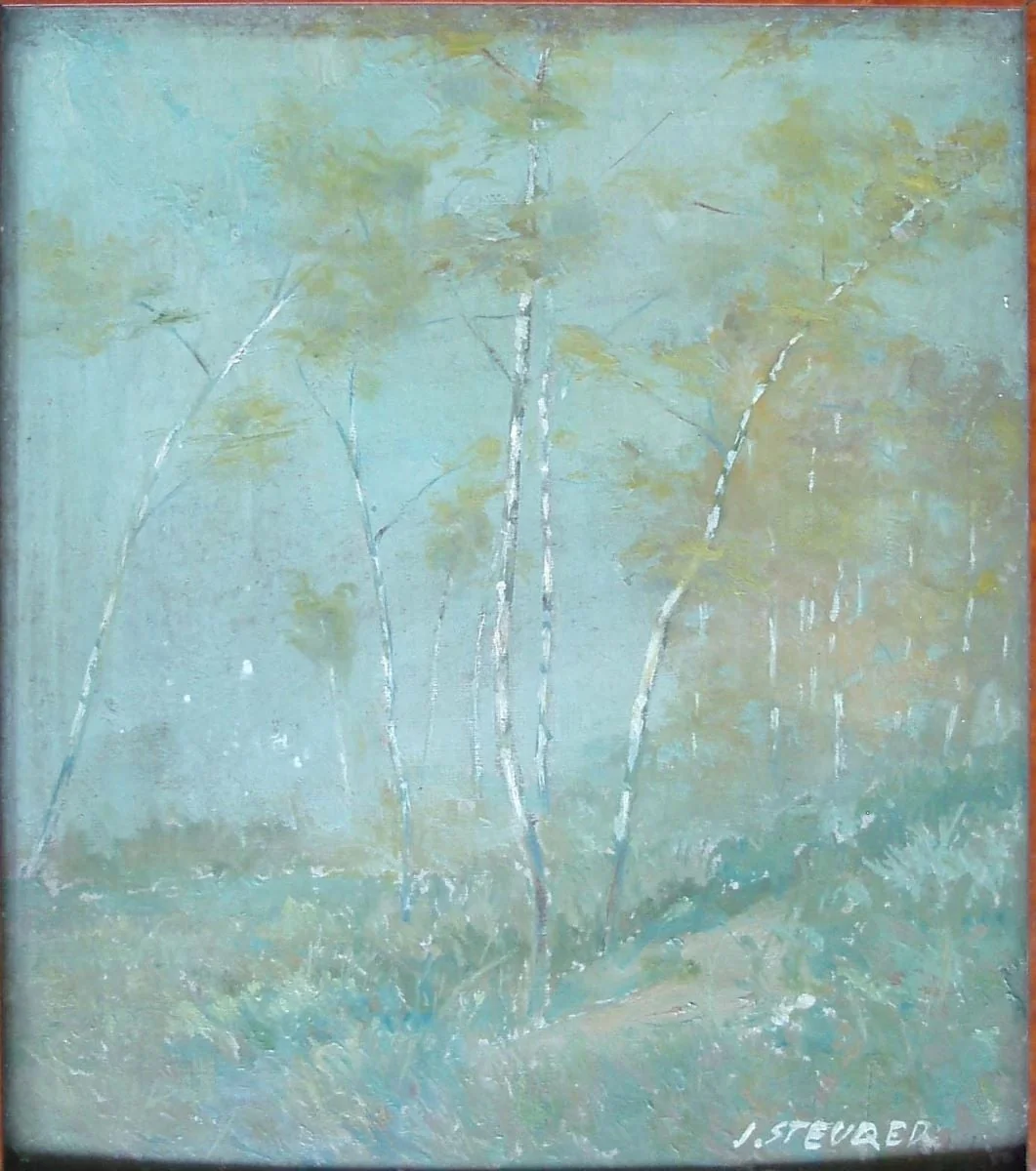 Mesteceni, by Iosif Steurer, unspecified