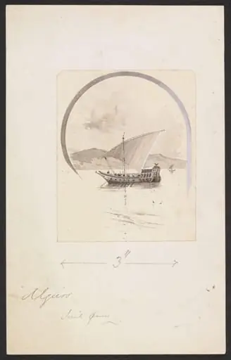 Algiers  Sail [...]