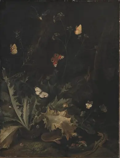 A Forest Floor with a Thistle, a Snake, a Lizard and Butterflies