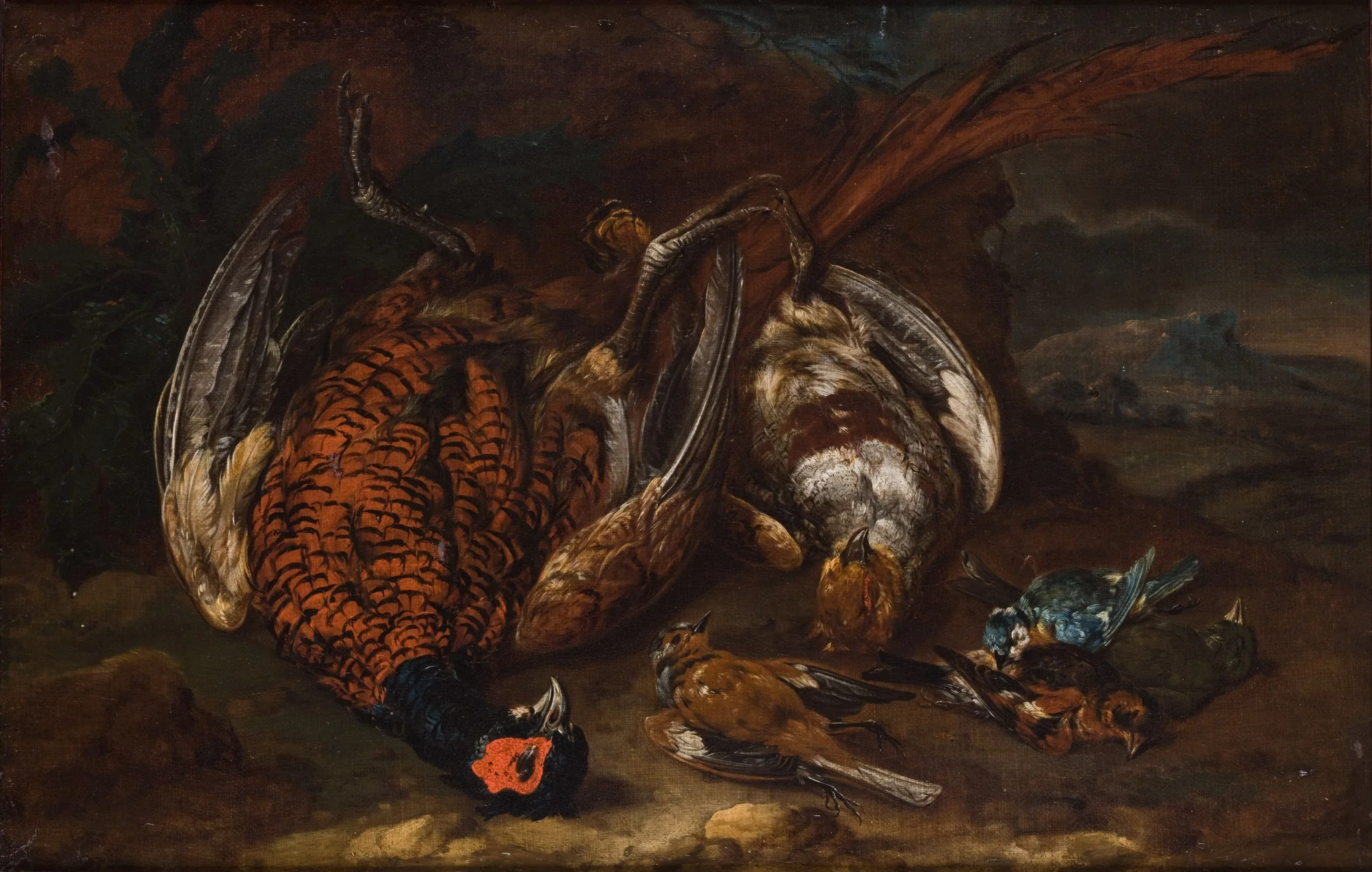 Slaughtered Birds, by Philipp von Purgau, oil, 1710