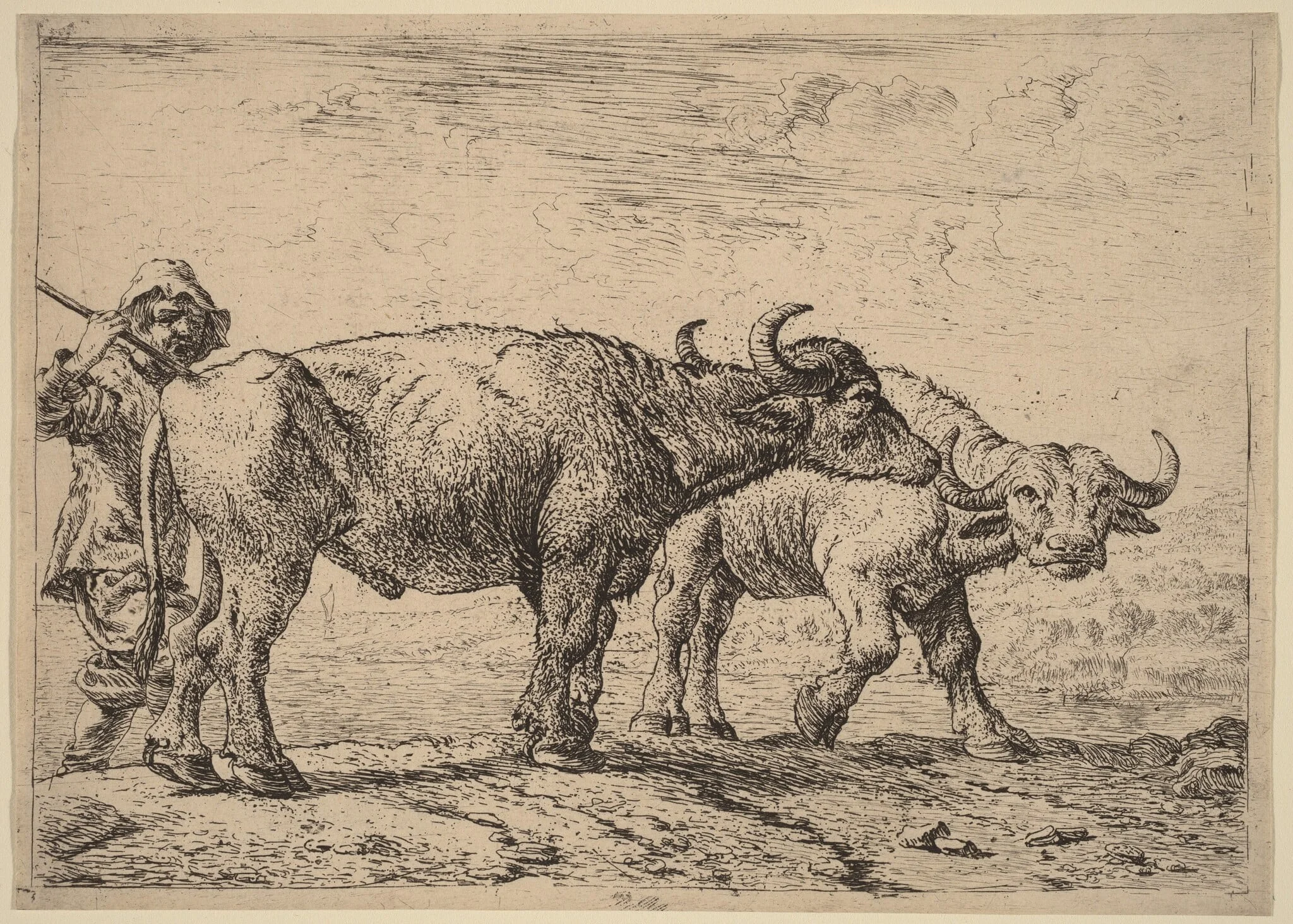 Two Buffaloes and a Herdsman, by Pieter van Laer, ink, 1650