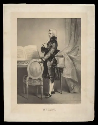 H Beard Print Collection