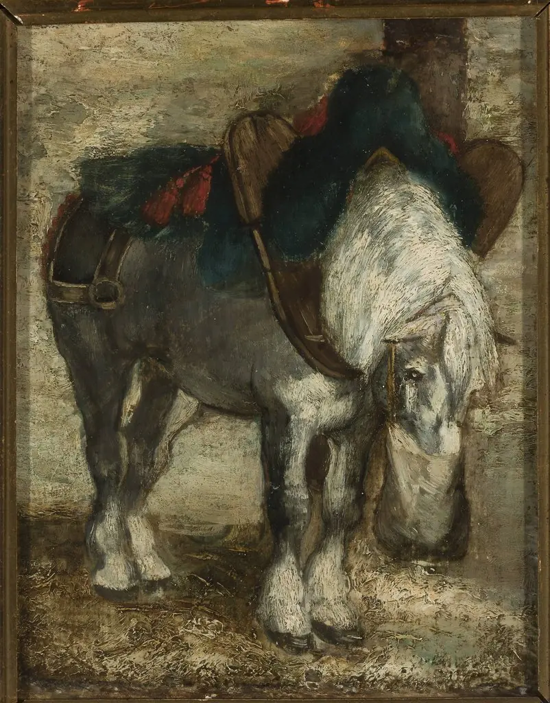 Percheron harnessed