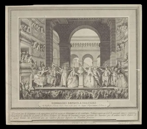 H Beard Print Collection