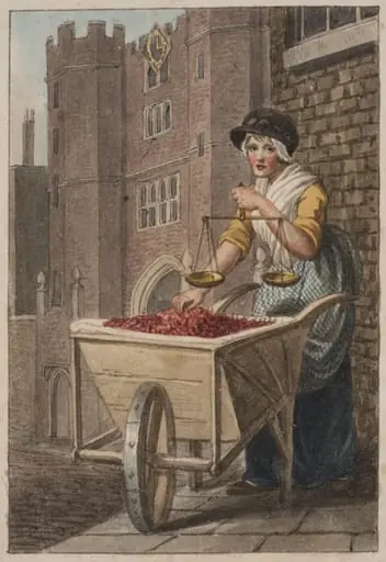 Cherries
