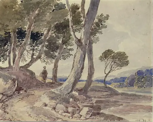 Landscape with trees and water