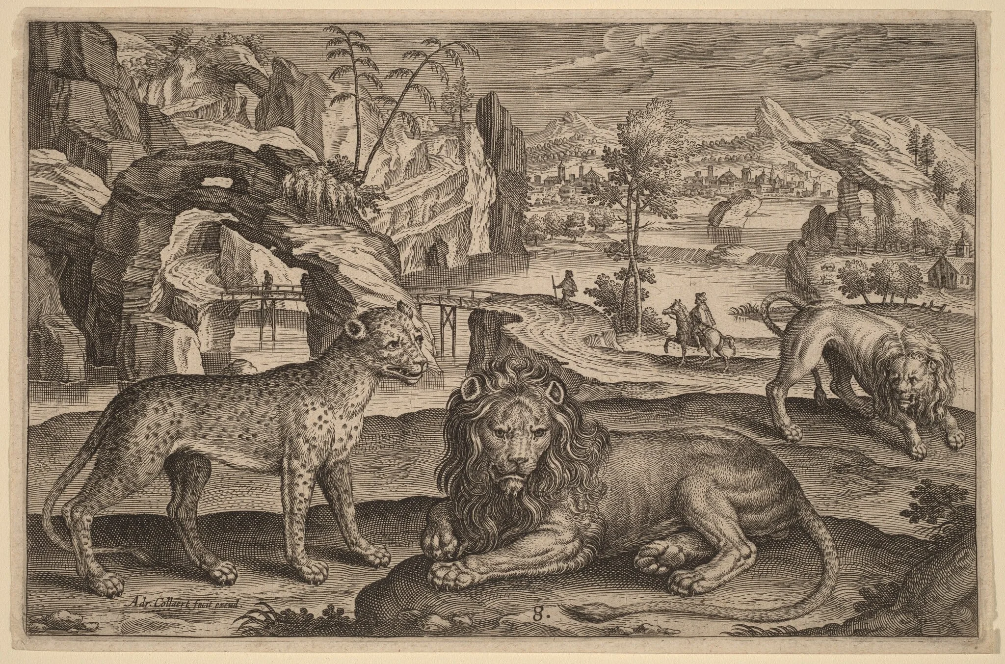 A Leopard and Two Lions, by Adriaen Collaert, ink, 1597