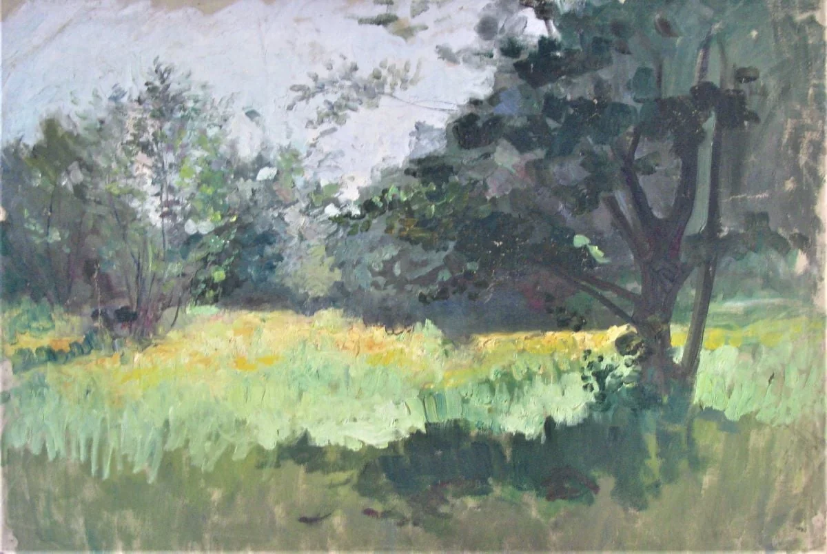Luminiș cu flori galbene, by Alexandru Carol Satmary, unspecified, 1915
