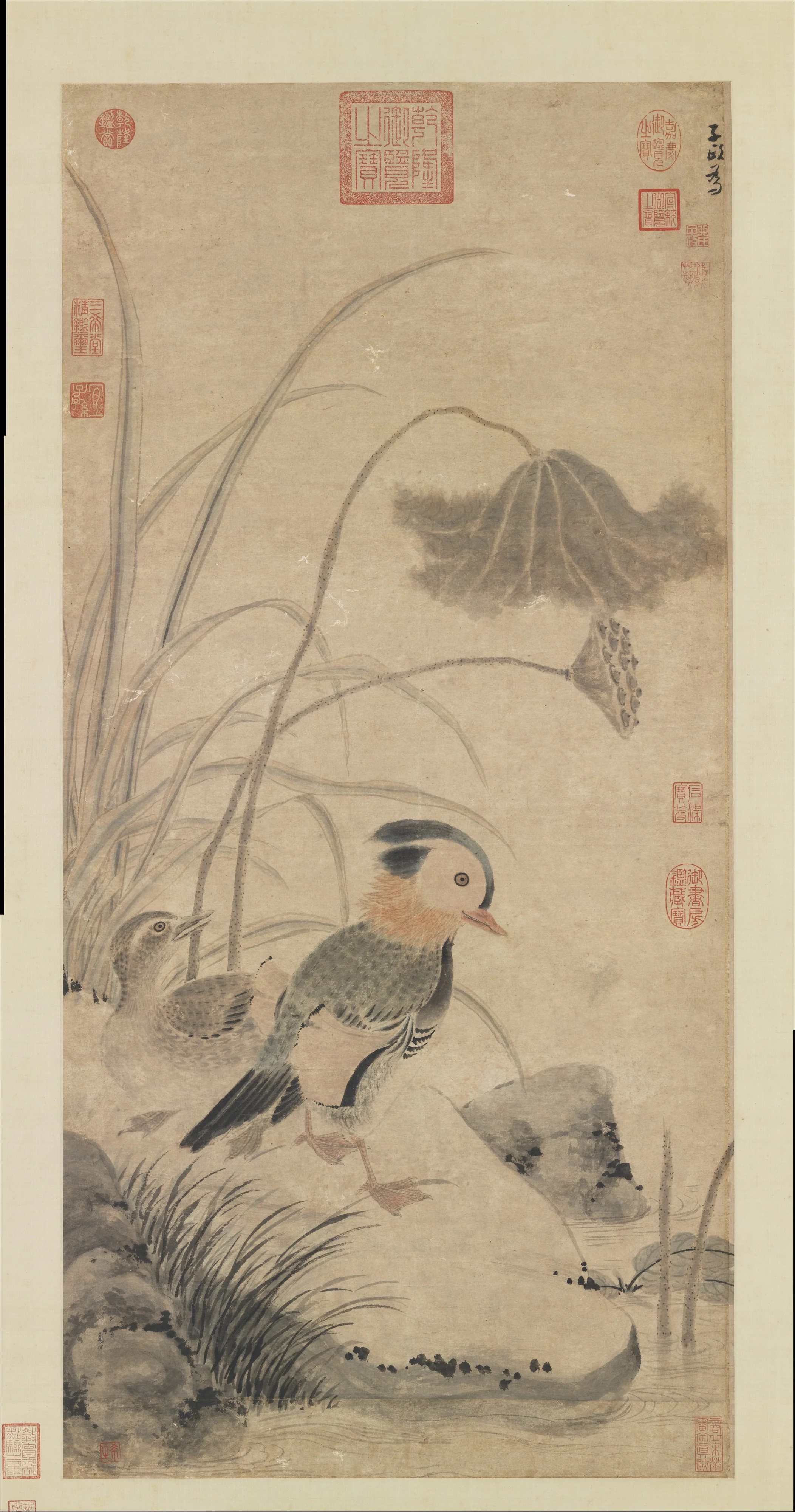 Withered Lotuses and Mandarin Ducks, by Zhang Zhong, unspecified