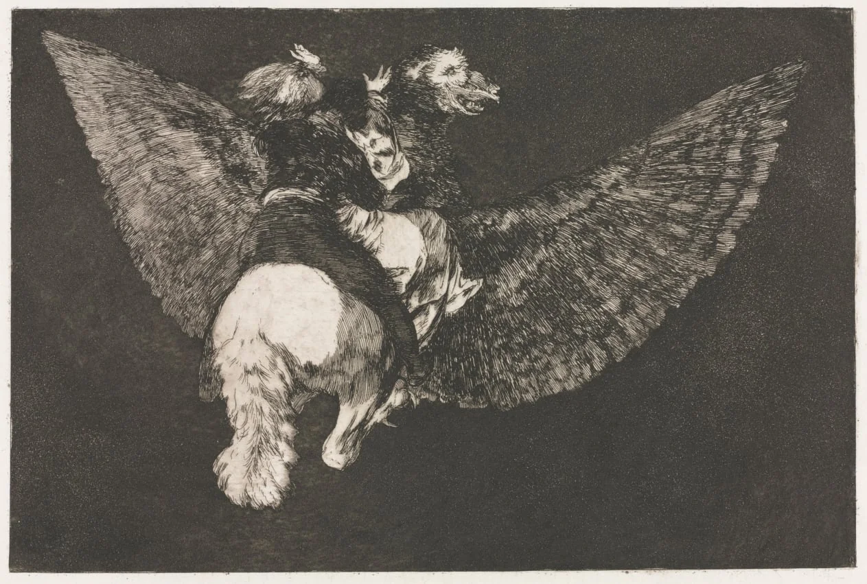 The Proverbs:  Flying Folly