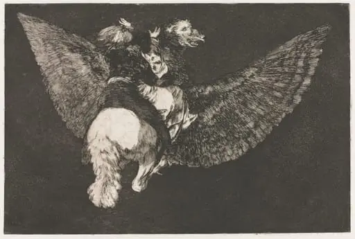 The Proverbs:  Flying Folly