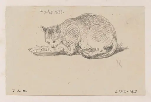 A cat eating from a plate