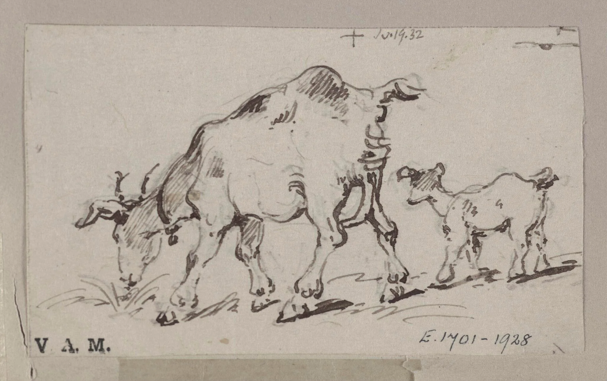 A goat and kid, by George Chinnery, 13