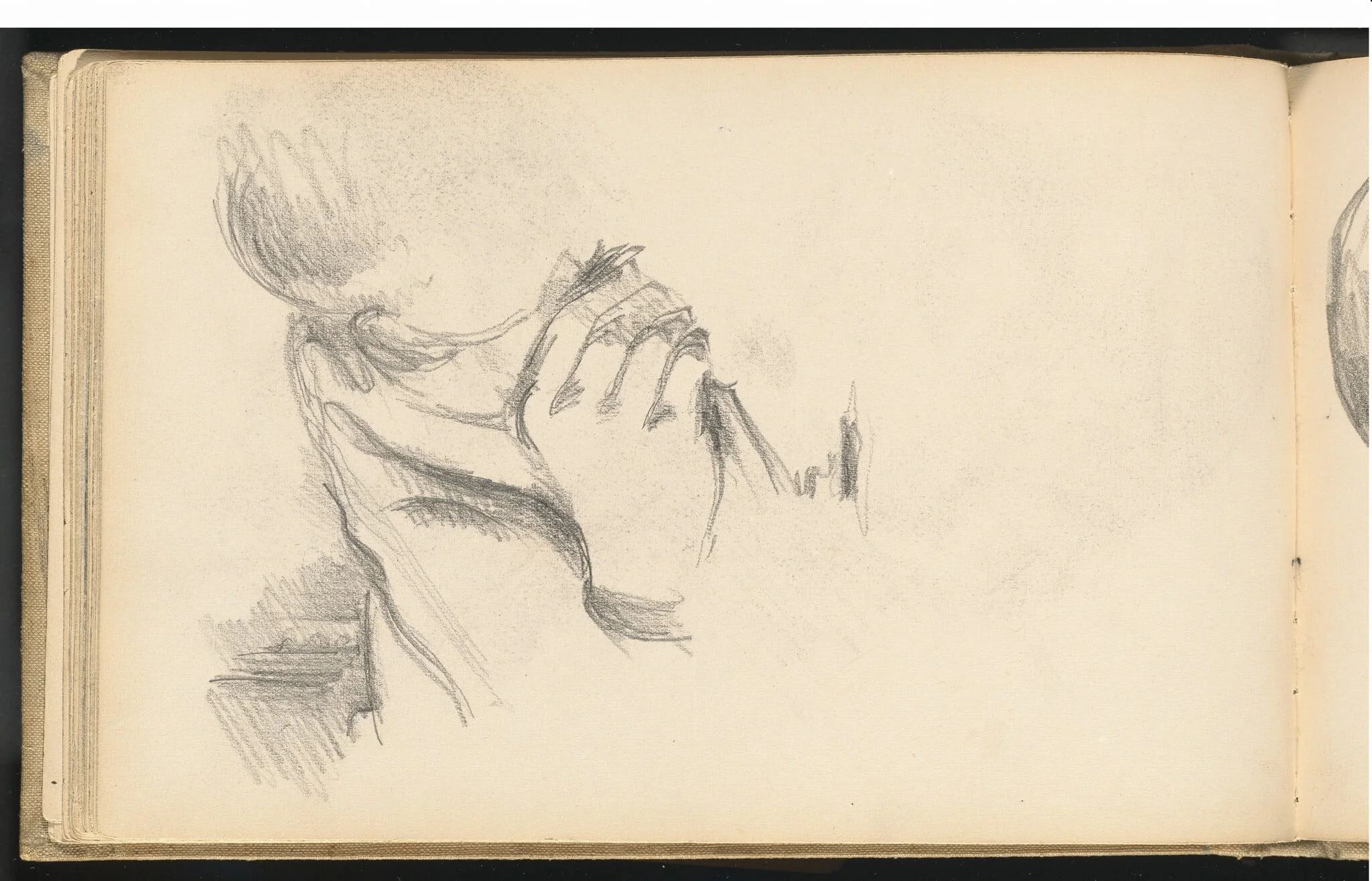 Hand and Shoulder of a Boy