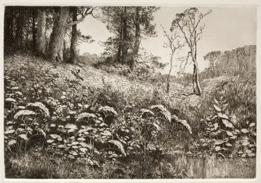 A Summer Afternoon