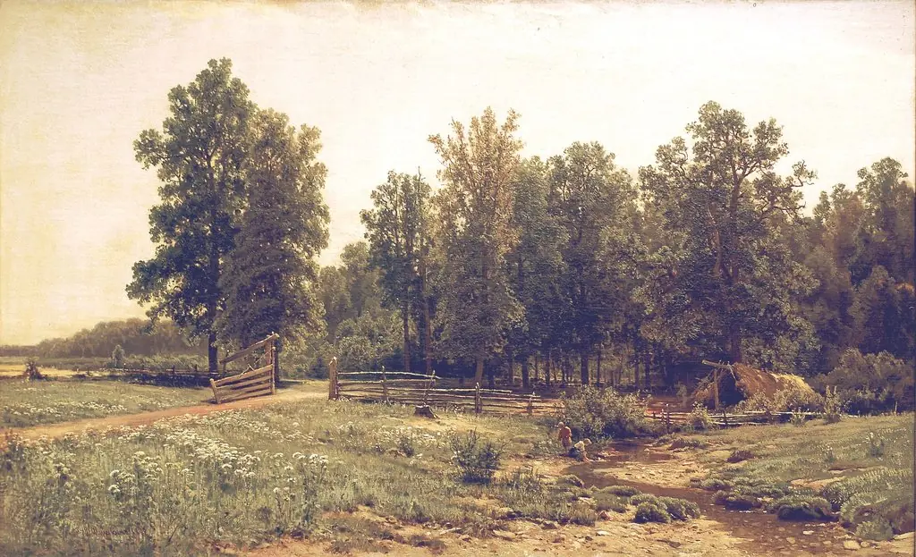 On the outskirts of the oak forest