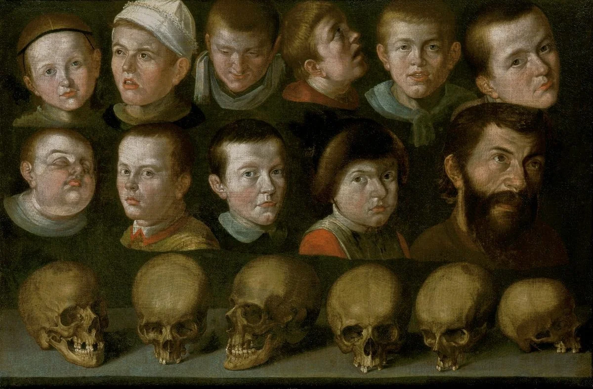 Elf Kopfstudien und sechs Schädel, by Conrad Meyer, oil, 1663