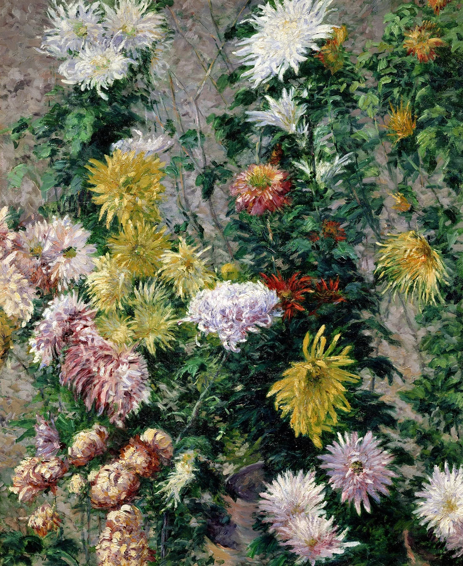 White and yellow chrysanthemums. Petit Gennevilliers garden, by Gustave Caillebotte, oil, 1897