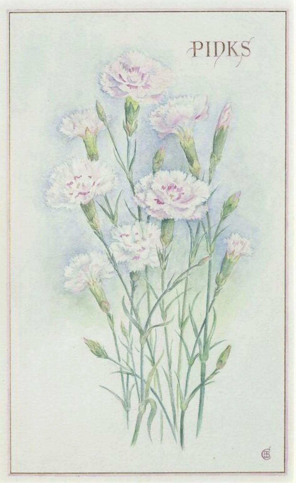 Pinks