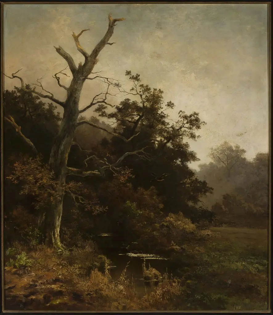Withered tree on a river bank
