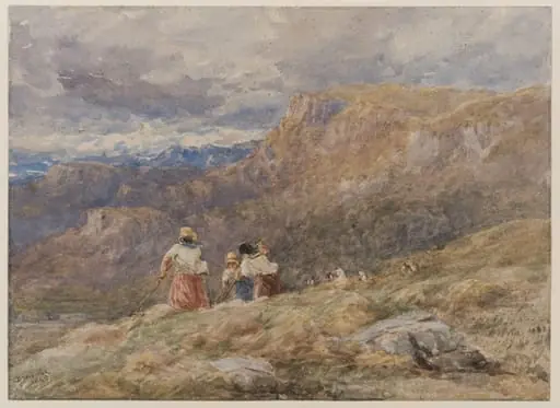 Haymaking, Welsh Mountains
