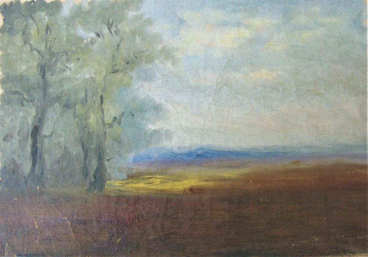 Marginea pădurii, by Alexandru Carol Satmary, unspecified, 1906