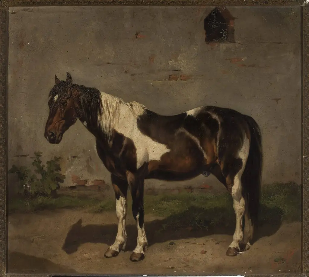 Horse with the barn in the background