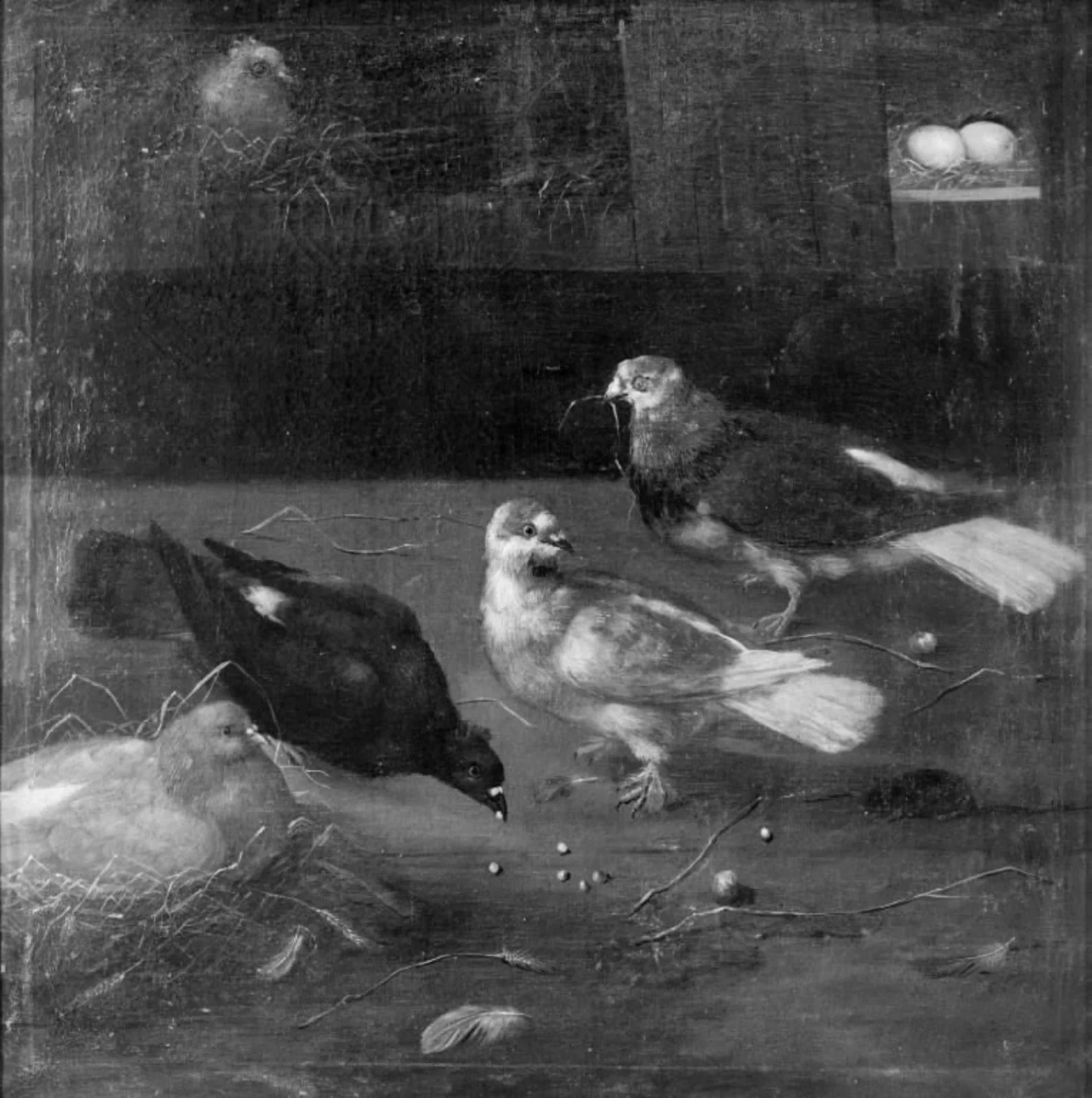 Pigeons, by Unknown, 1750